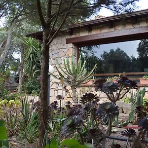https://giardino-degli-ulivi.in-sardinia.net